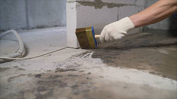 SJ Waterproofing Pros Waterproofing coverage map for Helenwood, TN and surrounding area